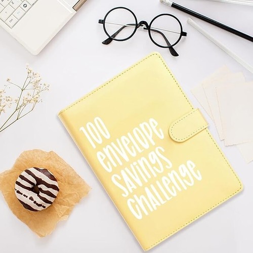 Money saving challenge binder - money,